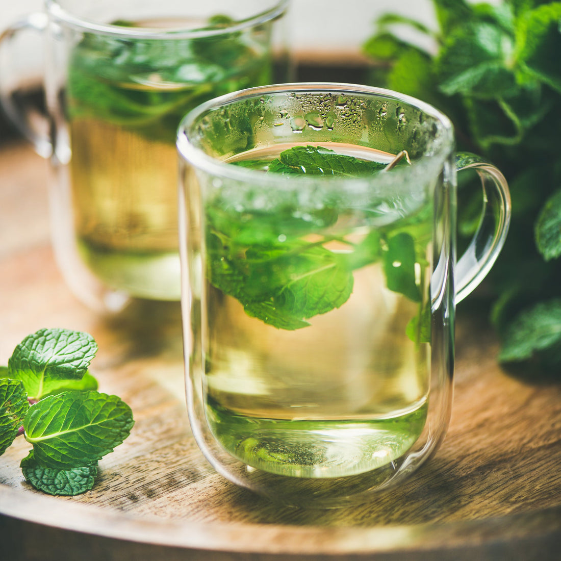 French Peppermint Tea: Crisp, Refreshing, and Naturally Invigorating