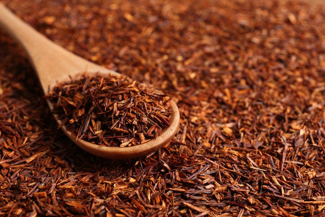 Rooibos Tea: Benefits, Flavor & Why It’s the Perfect Caffeine-Free Alternative