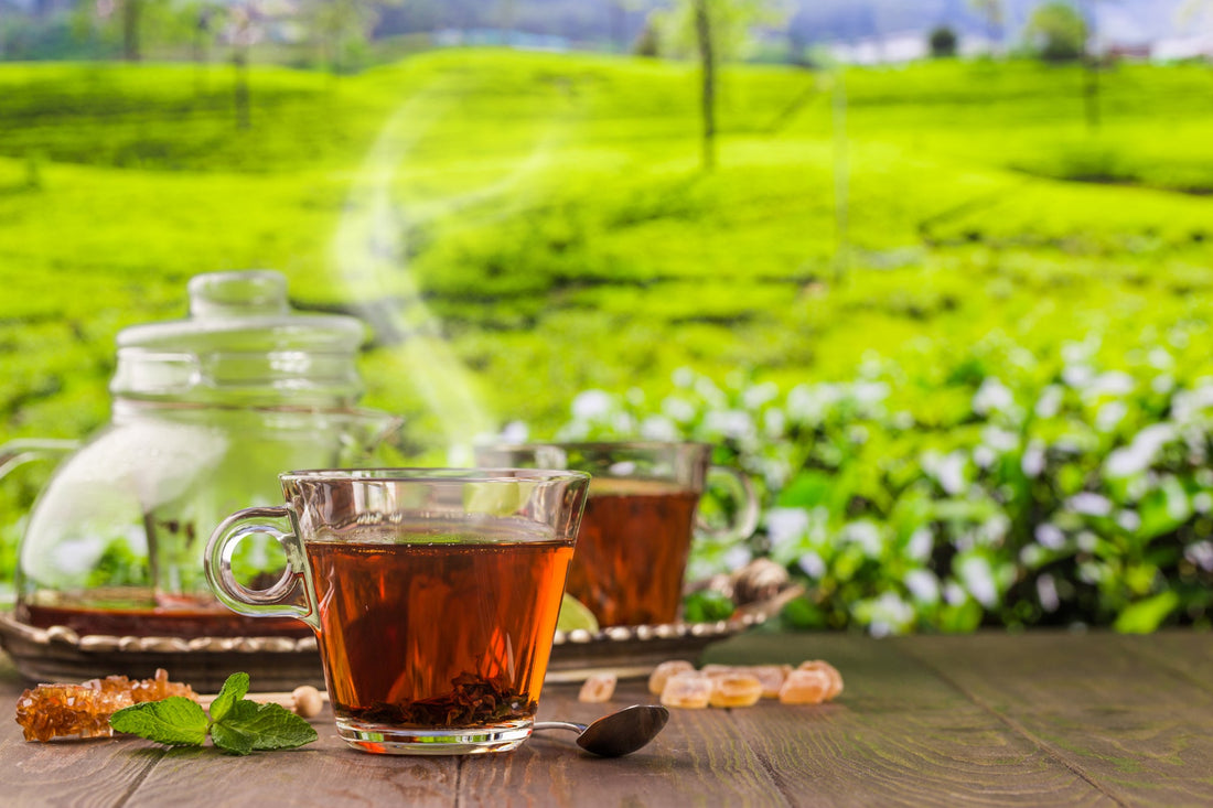 Royal Assam Tea: Bold, Malty Flavor for a Strong Start to Your Day