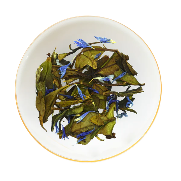 White Blueberry Tea Sachets