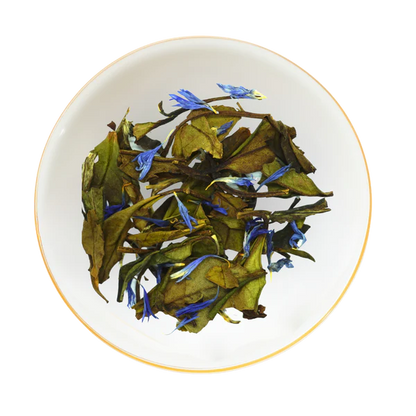 White Blueberry Tea Sachets
